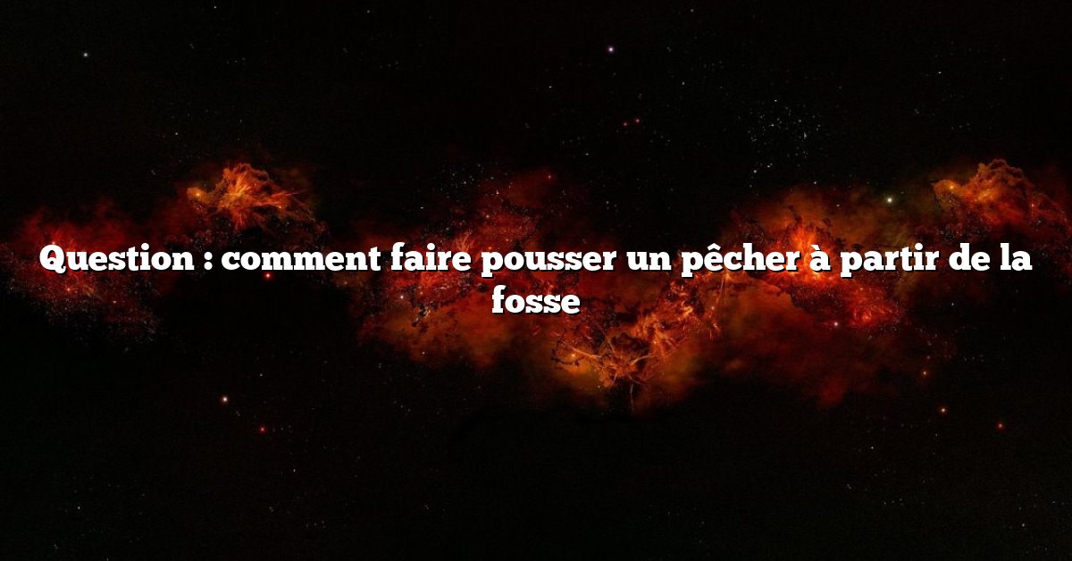 Question : comment faire pousser un pêcher à partir de la fosse